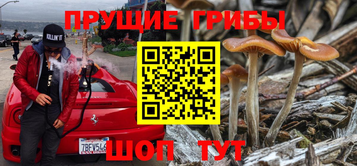 Миасс  Галлюциногенные грибы ЛСД  Вход с VPN  Галлюциногенные грибы Cubensis 